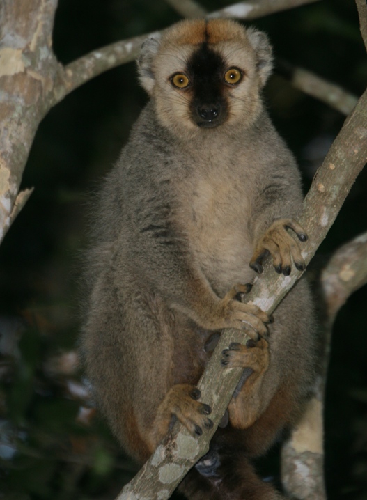 madagascar